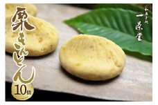和菓子処一茶堂 中津川栗きんとん 10個入り F4N-0831