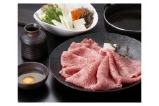 牛肉 飛騨牛 肩ロース肉 すき焼き用 500g 牛 肉 肩ロース ロース すきやき 赤身 飛騨 F4N-1717