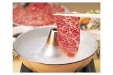 牛肉 飛騨牛 肩ロース肉 しゃぶしゃぶ用 500g 牛 肉 肩ロース ロース しゃぶしゃぶ 赤身 飛騨 F4N-0738