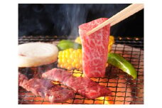 牛肉 飛騨牛 ロース肉 焼肉用 750g 牛 肉 ロース 焼き肉 赤身 飛騨 F4N-1744