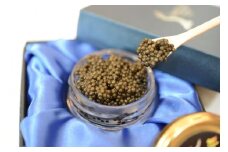 中津川キャビア S Caviar オシェトラ（ロシアチョウザメ） F4N-1210