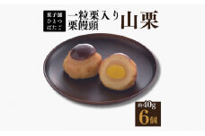 饅頭 一粒栗入り栗饅頭 山栗 6ケ入 白あん 一粒栗 岐阜県中津川市 F4N-1425