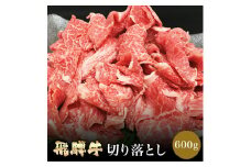 「肉の芸術品」飛騨牛切り落とし（モモ、肩、バラ）600g【用途は様々！焼肉、BBQ、すき焼き、煮物、牛丼、炒め物など】 F4N-1697