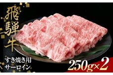 飛騨牛 すきやき用 サーロイン 250g×2 赤身 鍋 スライス肉 F4N-1639