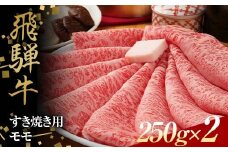 飛騨牛 すきやき用 モモ肉 250g×2 赤身 鍋 スライス肉 F4N-1638