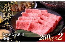 飛騨牛 しゃぶしゃぶ用 モモ肉 250g×2 赤身 鍋 スライス肉 F4N-1640