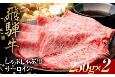 飛騨牛 しゃぶしゃぶ用 サーロイン 250g×2 赤身 鍋 スライス肉 F4N-1641