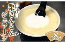 中津川の栗きんとんそのままジェラート8個入り バニラ セット アイス 冷凍 スイーツ F4N-1705