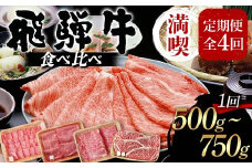 飛騨牛 満喫 定期便 全4回 食べ比べ 500g～750g F4N-1696