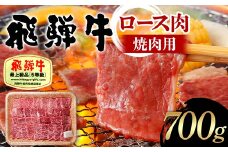 飛騨牛 A5等級 ロース肉 焼肉用 700g 牛 肉 等級 ロース 焼き肉 霜降り 飛騨 F4N-1693
