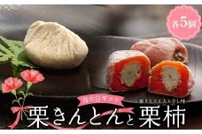 ＜老舗 くり屋南陽軒＞ 母の日 ギフト プレゼント「栗きんとん」 5個入と栗きんとん入り干し柿 「栗柿」 5個入セット 1箱 F4N-1897