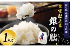 ＜テレビで紹介されました！＞令和7年度 新米 皇室献上米『銀の朏』1kg 中津川市加子母産 栽培期間中化学肥料不使用 米 お米 コメ ごはん ご飯 食品 F4N-1861