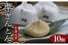 ＜加子母の里 仁太郎＞栗きんとん10個入 栗 くり 栗きんとん おやつ 菓子 和菓子 デザート スイーツ F4N-1778
