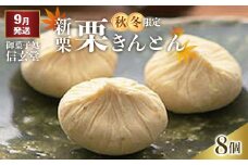 中津川銘菓：栗きんとん8個箱入り[秋季限定] 御菓子処 信玄堂 【9月お届け】 F4N-1931