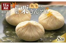 中津川銘菓：栗きんとん8個箱入り[秋季限定] 御菓子処 信玄堂 【11月お届け】 F4N-1933