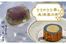 御菓子所川上屋 ささめささ栗・美濃栗の里6個詰合 羊羹 栗 栗きんとん 栗菓子 和菓子 F4N-1911