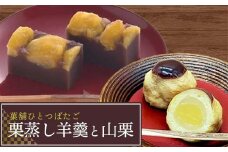 「栗」を味わえる和菓子セット 菓舗ひとつばたご特製 栗蒸し羊羹・栗饅頭食べ比べセット お茶菓子 お茶請け 和菓子 菓子 デザート スイーツ セット 詰め合わせ 詰合せ 食品 F4N-1789