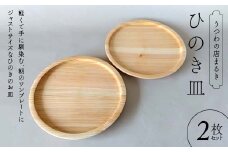 ひのき皿 2枚セット 木製 ワンプレート 桧 工芸品 木工品 おしゃれ 贈り物 プレゼント 岐阜 中津川 F4N-1809