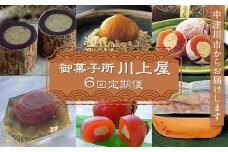 御菓子所 川上屋 【6回定期便】柿の美きんとん／ ささめささ栗／ 嬉しの栗／ ささ栗・美濃栗の里6個詰合せ／ 木曽路の四季／ 水辺の若鮎 和菓子 くり クリ 栗きんとん 栗菓子 羊羹 干し柿 うぐいす豆 求肥 スイーツ F4N-1930