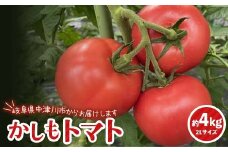 食べて実感 濃い味かしもトマト約４Kg 東美濃農業協同組合【期間限定　選果場直送！】 F4N-1265