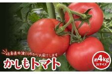食べて実感 濃い味かしもトマト約４Kg 東美濃農業協同組合【期間限定　選果場直送！】 F4N-1265