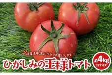 赤熟もぎりのひがしみの王様トマト約4Kg 東美濃農業協同組合【期間限定　選果場直送！】 F4N-1266