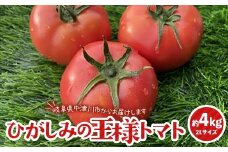 赤熟もぎりのひがしみの王様トマト約4Kg 東美濃農業協同組合【期間限定　選果場直送！】 F4N-1266