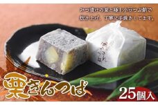 〈御菓子司 恵那福堂〉栗きんつば 25個入 F4N-2445