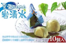 〈御菓子司 恵那福堂〉夏栗きんとん 岩清水10個入 F4N-2455