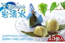 〈御菓子司 恵那福堂〉夏栗きんとん 岩清水15個入 F4N-2456