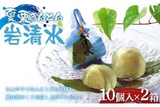 〈御菓子司 恵那福堂〉夏栗きんとん 岩清水20個（10個×2箱） F4N-2457