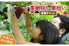 果物狩り、栗拾い体験チケット 山本農園 体験 体験チケット チケット F4N-2516