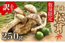 【数量限定】 天然松茸 250g 松茸ご飯、焼き松茸、土瓶蒸しなど 訳あり（簡易包装） F4N-2521