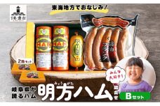 [№5308-0018]明方 ハム Bセット ボロニア ソーセージ フランクフルト JA ブランド 高級 豚肉 お肉 国産 熟成 塩分 控えめ 天然 豚腸 バーベキュー BBQ 加工品 お取り寄せ 贈答 ギフト 送料無料 めぐみの農業協同組合 岐阜県 美濃市