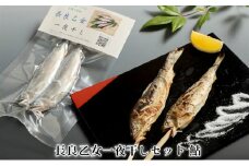 [№5308-0031]長良乙女一夜干しセット 鮎