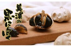 [№5308-0042]うだつの町　美濃の黒にんにく