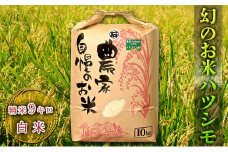 [№5308-0092]幻のお米ハツシモ　9kg 精米 白米