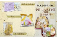 [№5308-0181]銘菓 美濃十景 落雁セット 和菓子