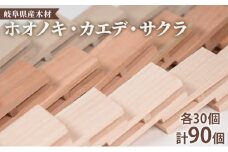 [№5308-0215]ドミノ　木のおもちゃ　積み木　HAPINO