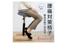 [№5308-7177]0291バランス シナジー(カバー付き)ラウンドシート　本体:グレー+カバー:ブラウン