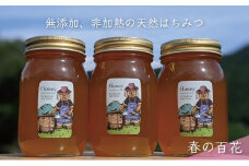 [№5308-0243]合計1800g 天然蜂蜜 国産蜂蜜 非加熱 生はちみつ 岐阜県 美濃市産 春 (蜂蜜600g入りガラス瓶3本セット)A7 深田養蜂のハチミツ