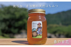 [№5308-0241]合計600g 天然蜂蜜 国産蜂蜜 非加熱 生はちみつ 岐阜県 美濃市産 春 (蜂蜜600g入りガラス瓶1本)A5 深田養蜂のハチミツ