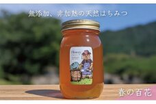 [№5308-0241]合計600g 天然蜂蜜 国産蜂蜜 非加熱 生はちみつ 岐阜県 美濃市産 春 (蜂蜜600g入りガラス瓶1本)A5 深田養蜂のハチミツ