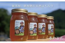 [№5308-0244]合計2400g 天然蜂蜜 国産蜂蜜 非加熱 生はちみつ 岐阜県 美濃市産 春 (蜂蜜600g入りガラス瓶4本)A8 深田養蜂のハチミツ