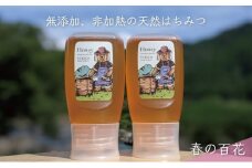 [№5308-0246]合計600g 天然蜂蜜 国産蜂蜜 非加熱 生はちみつ 岐阜県 美濃市産 春 (蜂蜜300g入りピタッとボトル2本セット)A10 深田養蜂のハチミツ