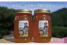 [№5308-0242]合計1200g 天然蜂蜜 国産蜂蜜 非加熱 生はちみつ 岐阜県 美濃市産 春 (蜂蜜600g入りガラス瓶2本セット)A6 深田養蜂のハチミツ