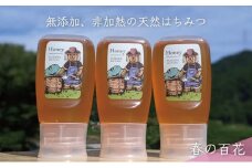 [№5308-0247]合計900g 天然蜂蜜 国産蜂蜜 非加熱 生はちみつ 岐阜県 美濃市産 春 (蜂蜜300g入りピタッとボトル3本セット)A11 深田養蜂のハチミツ