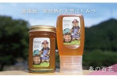 [№5308-0249]合計530g 天然蜂蜜 国産蜂蜜 非加熱 生はちみつ 岐阜県 美濃市産 春 (蜂蜜230g入りガラス瓶1本,蜂蜜300g入りピタッとボトル1本のセット)A13 深田養蜂のハチミツ