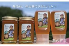 [№5308-0250]合計1060g 天然蜂蜜 国産蜂蜜 非加熱 生はちみつ 岐阜県 美濃市産 春 (蜂蜜230g入りガラス瓶2本,蜂蜜300g入りピタッとボトル2本のセット)A14 深田養蜂のハチミツ