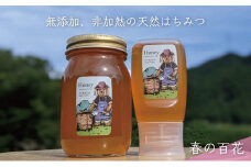[№5308-0251]合計900g 天然蜂蜜 国産蜂蜜 非加熱 生はちみつ 岐阜県 美濃市産 春 (蜂蜜600g入りガラス瓶1本,蜂蜜300g入りピタッとボトル1本のセット)A15 深田養蜂のハチミツ